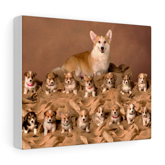 "Elsa & Her Fab 15 Litter" Canvas Gallery Wraps